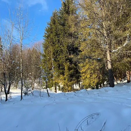 דירה Przy Kominku ויסלאו