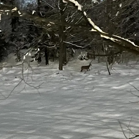 Przy Kominku דירה *