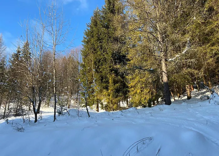 דירה Przy Kominku ויסלאו