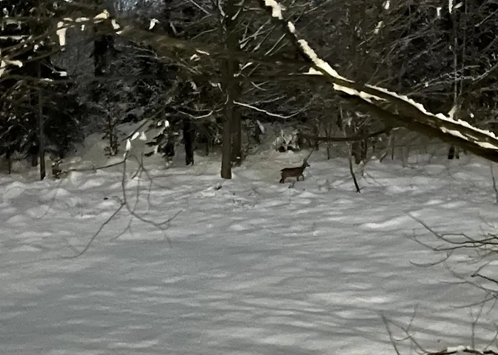 Przy Kominku דירה *